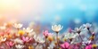 © QuietWord - pink white daisy blossom flower field with bokeh and glow light, dream like fantasy in misty morning wildflower meadow, Generative Ai
