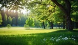 Fototapeta Krajobraz - View of natural park with a green lawn through young juicy foliage of trees in rays of soft sunlight. beautiful spring background. high resolution