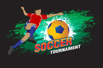 Wall Mural - soccer sport