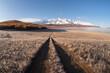 Remote dirt trail through the frozen steppe to snow mountains. Bright sunny autumn atmospheric minimalist landscape with a dirt path among the grasses in the highlands.
