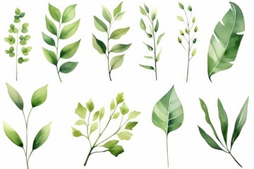 Wall Mural - Set of watercolor green leaves elements. Collection botanical isolated on white background suitable for Wedding Invitation, save the date, thank you or greeting card, Generative AI