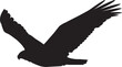 eagle flying silhouette eps vector