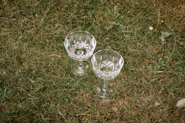 Two empty champagne glasses in grass