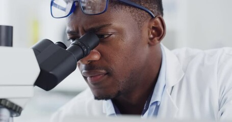 Aufkleber - Science, research and black man with microscope, study and medical engineering in laboratory. Biotechnology, investigation and pharmaceutical test, scientist or technician with glasses for analysis.