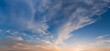 Panorama of the sky with cirrus clouds at sunset