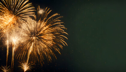 Wall Mural - Fireworks explosion with space for text.