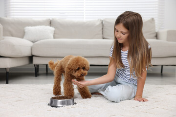 Wall Mural - Little child feeding cute puppy on carpet at home. Lovely pet