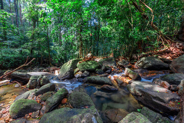 Wall Mural - Panoramic nature background On a high mountain, you can see the scenery of trees, grass, and lush rice fields. While traveling on an adventure trip