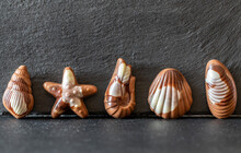 Seafood-shaped Chocolate Candies