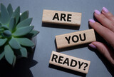 Fototapeta  - Are you ready symbol. Concept word Are you ready on wooden blocks. Businessman hand. Beautiful grey background with succulent plant. Business and Are you ready concept. Copy space