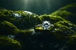  A diamond ring on a mossy rock, connecting nature and luxury