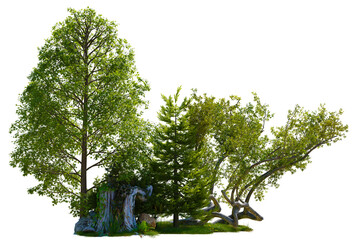 Wall Mural - tree group small land with tree PNG transparent, 3d illustration rendering