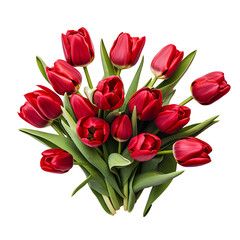 Wall Mural - Red tulips on transparent background PNG for project decoration.