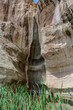 Stain-streaked water course down the white sand stone rock face in El Morro National Monument, New Mexico