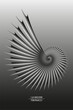© ararat - Fibonacci Sequence Golden ratio. Geometric shapes spiral. 3D Snail spiral. Sea shell of white circles. Sacred geometry logo template. Vector isolated on black background