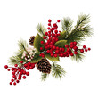 Berries and holly with pine cone on branches vectors