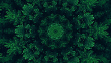 Nature Kaleidoscope. Green Mandala. Forest Foliage Texture Ethnic Round Symmetrical Fractal Ornament On Dark Black Abstract Illustration Background.