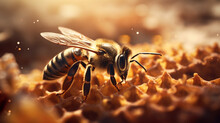 Realistic Macro Close Up Photo Of A Bee In A Hive Created With Generative Ai