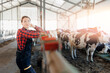 © Parilov - Farming livestock cattle industry. Happy woman farmer plaid shirt and uniform on background cows dairy farm