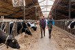 © Parilov - Farmer man and veterinarian doctor young woman checking health of cows. Concept agriculture industry, livestock cattle farm