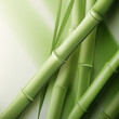 Fondo con detalle y textura de varias piezas de bambu verde, sobre fondo de tono verde suave
