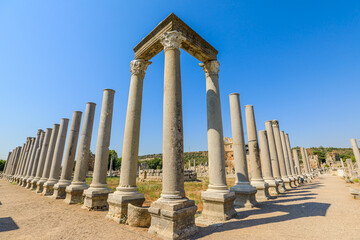 Wall Mural - Tourists to Perge of Turkey, can explore the remnants of grand colonnades, temples, and monumental arches that once defined this agora's majestic presence.