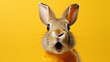 Lustiger Hase mit staunendem offenem Mund auf gelbem Hintergrund.