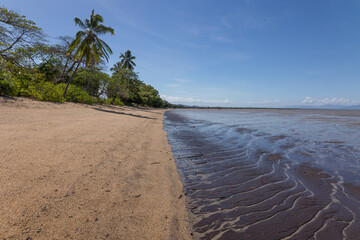 Wall Mural - A tropical beach with a dividing line between sand and mud at low tide on Cardwell beach in tropical Queensland, Australia.