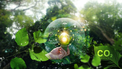 Wall Mural - hand holding light bulb against nature on green leaf, organization sustainable development environme