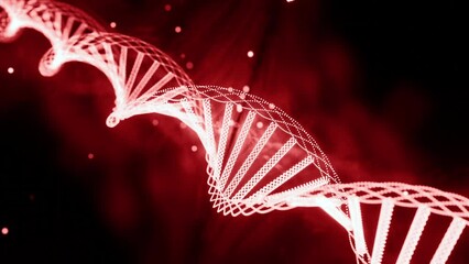 Poster - Glowing dna rotates in space. Design. Dna spiral rotates and glows with moving gene particles. Collected dna with gene chains