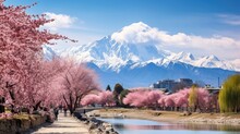 Landscape Picture Of Mount Everest Area With Blooming Pink Sakura Or Cherry Blossom Beside Clear River At Japan.