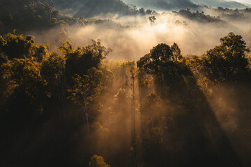 Wall Mural - Foggy sunrise in the mountains in summer