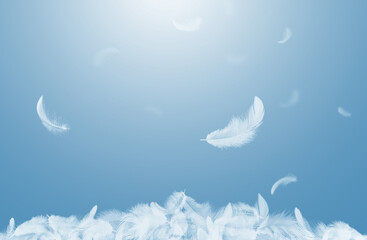 Wall Mural - Abstract White Bird Feathers Falling on Floor. Softness of Floating Feathers in Blue Sky.