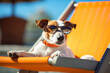 Meet the ultimate tourist pup on a beach adventure. Deck chair, shades, and AI Generative relaxation make this doggy vacation unforgettable.
