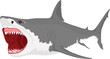 Shark with open mouth illustration vector