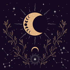 mystical moon with plants and stars. stars, constellations, moon, sun. hand drawn astrology symbol. 