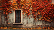 The Wall Of An Old House Covered With Creeper Leafs