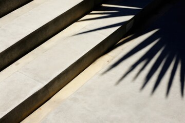 Wall Mural - an abstract background image for creative content featuring the intriguing shadow of palm leaves cas