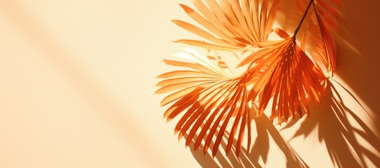 Wall Mural - an abstract background image in a wide format, featuring sunlight streaming through palm leaves, cas