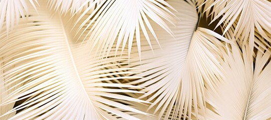 Wall Mural - an abstract background image for creative content in a wide format, featuring the lush and tropical 