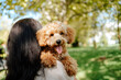 © Westend61 - Woman with long hair carrying poodle dog in park