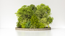 3D Render Of Small Summer Grove Against White Background