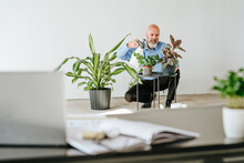 Smiling Businessman Spraying Water On Potted Plants In Office