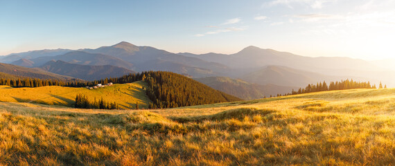 Wall Mural - Perfect landscape of a rolling countryside on a sunny day. Carpathian mountains, Ukraine, Europe.