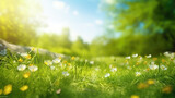 Fototapeta Przestrzenne - A beautiful spring summer meadow. Natural colorful panoramic landscape with many wild flowers of daisies against blue sky. A frame with soft selective focus.