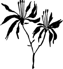 hand drawn brush ink grunge iris flower