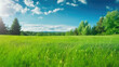 © Nice Seven - Beautiful blurred background image of spring nature with a neatly trimmed lawn surrounded by trees against a blue sky with clouds on a bright sunny day.