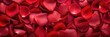 Exquisite aerial backdrop of scattered crimson rose petals