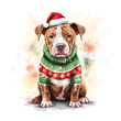 Pitbull wearing a sweater with Christmas green and red motifs watercolor paint