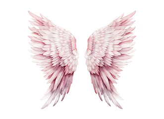 Wall Mural - Pink angel wings isolated on transparent background